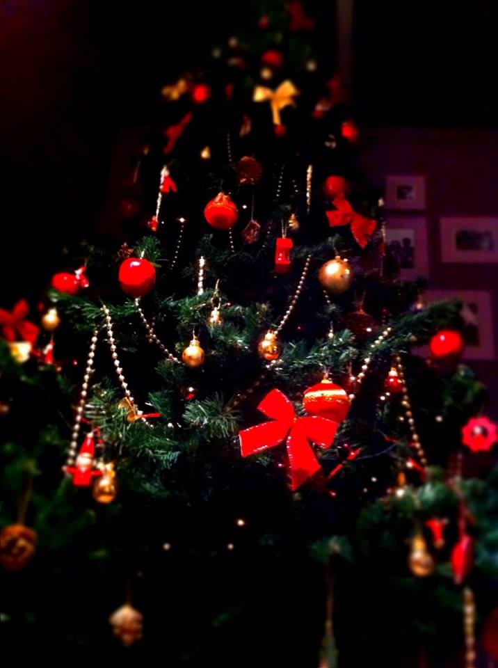 1465256_10151908908268020_2013700694_n